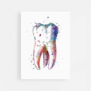 Tand kunst Tandheelkundige kunst Tandheelkundige kantoor decor Tandarts cadeau Molaire anatomie kunst Aquarel Print
