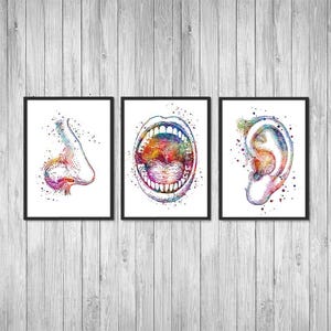 Ear Nose Throat Prints Doctor Office Decor ENT Watercolor Wall Art Otolaryngology Medical Posters ENT