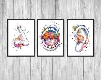 Ear Nose Throat Prints Doctor Office Decor ENT Watercolor Wall Art Otolaryngology Medical Posters ENT