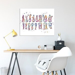 Colorful Watercolor Teeth Chart Print, Dentist Office Wall Art, Dental School Anatomy Poster image 6