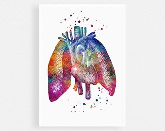 Lungs and Heart Watercolor Print, Human Anatomy Art for Doctor office decor