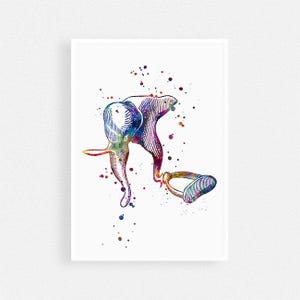 Audiology Art, Ossicles human ear anatomy watercolor print, Audiologist gift
