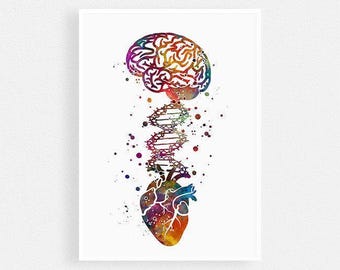 Anatomy art | Psychology art watercolor print | Brain Heart DNA poster | Doctor office wall decor