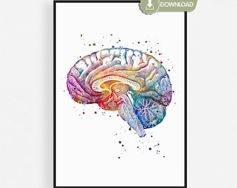 Brain Watercolor Printable, Neuroscience Wall Art, Psychologist Office Decor, Neurologist Gift, Anatomy Poster, Instant Download