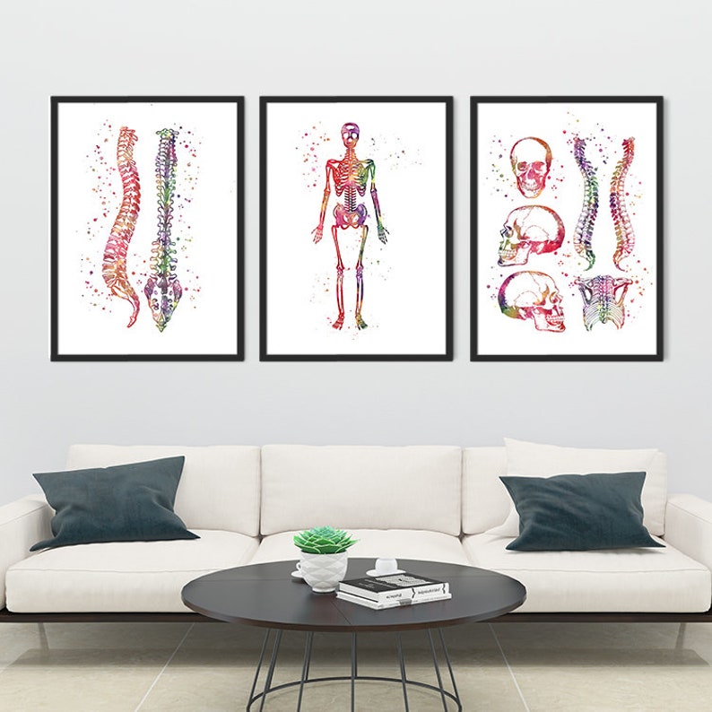 Chiropractic Clinic Wall Art Decor Set of 3 Prints Watercolor | Etsy