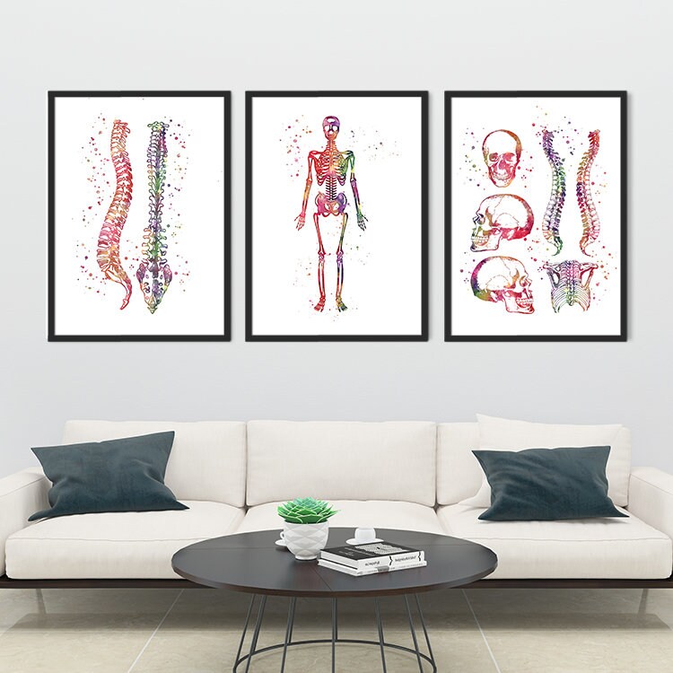 Chiropractic Clinic Wall Art Decor Set of 3 Prints Watercolor Etsy