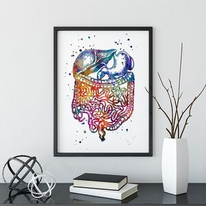 Gastrointestinal Tract Anatomy Art Watercolor Print, Human Internal ...