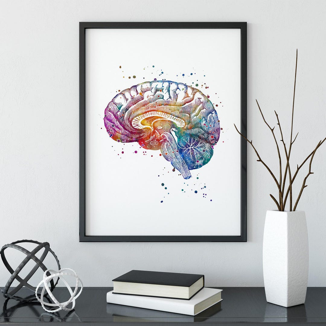 Brain Art Print | Neuroanatomy Colorful Watercolor Artwork | Anatomical ...
