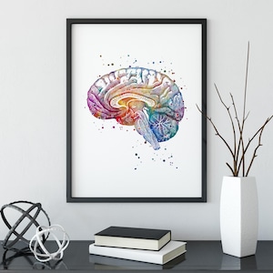 Brain art print | Neuroanatomy colorful watercolor artwork | Anatomical Medical Neuroscience Poster | Neurology clinic office wall art decor