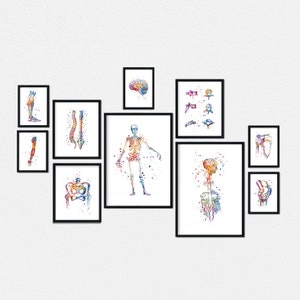Decorazioni per ufficio chiropratico, set di 10 stampe di anatomia, regalo per chiropratici
