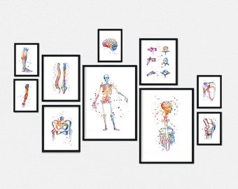 Chiropractic office decor, Anatomy art Set of 10 prints, chiropractor gift