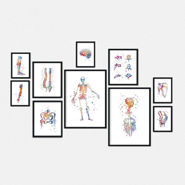 Decoración de oficina quiropráctica, arte de anatomía Conjunto de 10 grabados, regalo quiropráctico