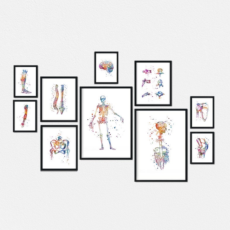 カイロプラクティックポスター Chiropractic poster - Etsy 日本