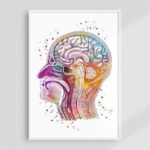 May include: A watercolour illustration of a human head profile, displaying the brain and related anatomy. The artwork uses a vibrant colour palette of purple, blue, yellow, and red, with a detailed depiction of the brain's structure. The image is framed in a white border.