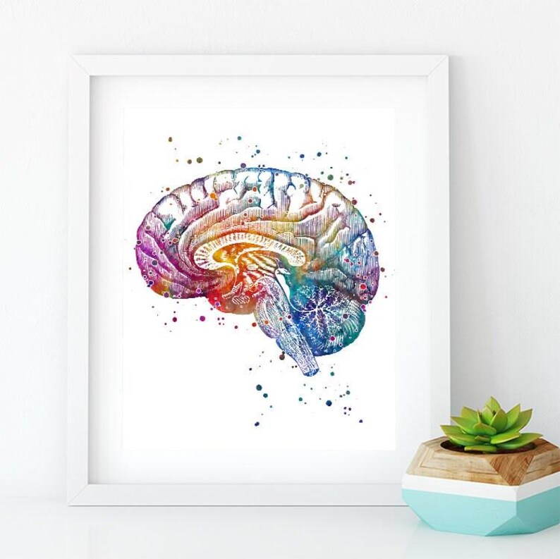 Neuroanatomy Art Print | Brain Anatomy Cross Section | Watercolor ...