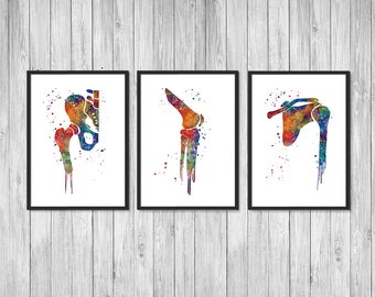 Orthopedic Surgery Clinic Decor Hip Joint, Knee and Shoulder, Watercolor Print Set Doctor office anatomy posters