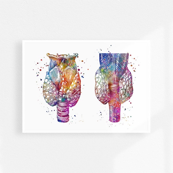 Thyroid art watercolor print, Endocrinology Art, Endocrinologist Gift