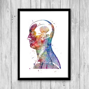Human Head and Neck Anatomy Art Print, Face and Neck Muscles, Pre Med