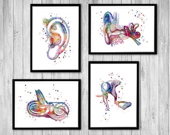 Art de l'audiologie, anatomie de l'oreille humaine, aquarelle, lot de 4 cadeau pour audiologiste, décoration de bureau pour médecin, art mural de clinique