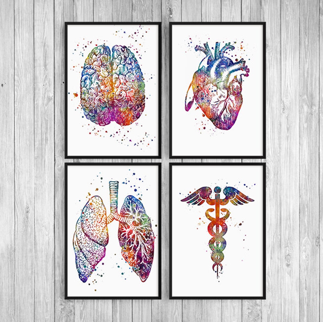 Medical Office Decor - Anatomy Art Set of 4 Watercolor Prints - School ...