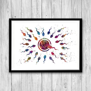 Human Fertilization Egg and Sperm Watercolor Art Print Fertility Clinic, Reproductive Center Wall Decor