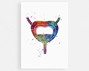 Urologist office decor, Bladder art Watercolor Print, Urology art