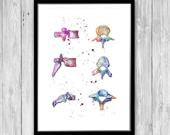 Spine Anatomy Art Vertebrae Bones Chiropractic art Medical Poster Physiotherapist Gift Watercolor Print