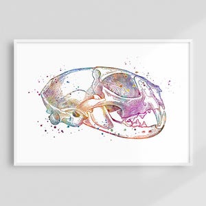 Arte de pared de odontología veterinaria, impresión de acuarela de calavera de gato, póster de anatomía dental felina, decoración de clínica veterinaria, obra de arte médica para veterinarios