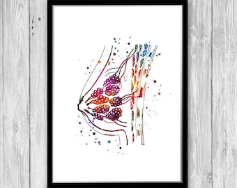 Women Breast Anatomy, Breastfeeding art Watercolor Print Oncology art, Oncologist gift