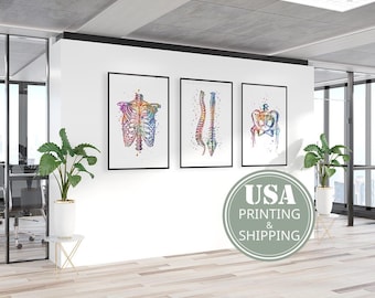 Puede incluir: Tres impresiones en acuarela enmarcadas de anatomía humana cuelgan de una pared blanca. Las impresiones representan la caja torácica, la columna vertebral y la pelvis, cada una representada en tonos vibrantes y multicolores. Los marcos son negros y las impresiones se exhiben en un entorno de oficina moderno.