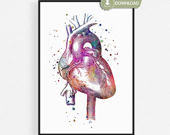 May include: Watercolor illustration of a human heart, showcasing anatomical details. The artwork features a vibrant color palette with shades of purple, pink, red, and yellow. The image is labeled "DIGITAL DOWNLOAD" in a green banner.