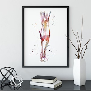 Human Leg Anatomy Art Print, Physiotherapist Office Decor, Multicolored Watercolor Artwork, Chiropractic Clinic Wall Art, Medical Poster