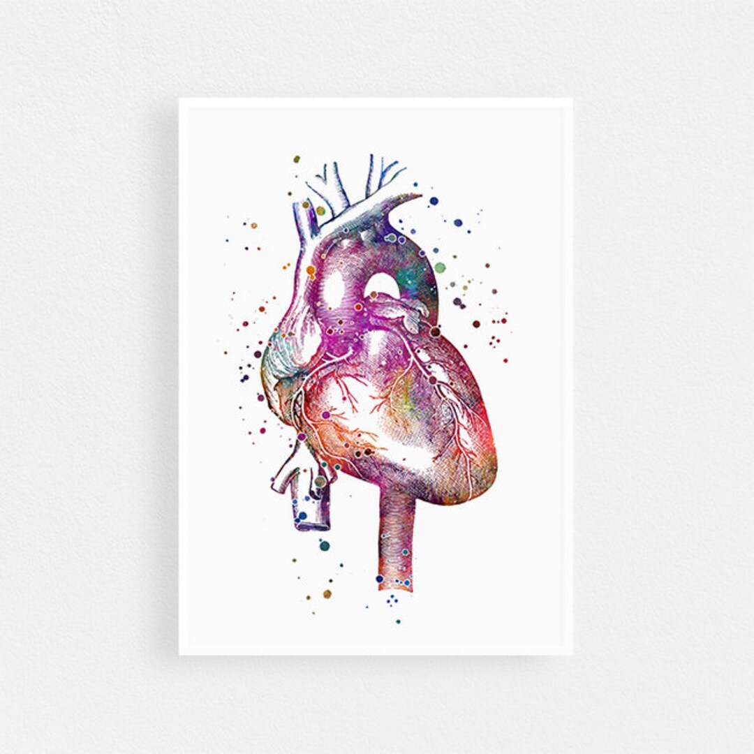 Anatomical Heart Watercolor Print Anatomy Art Doctor Office Decor ...