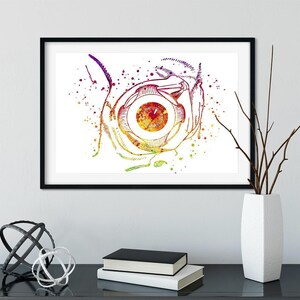 Ophthalmology Poster, Human Eye Anatomy Print, Vibrant Watercolor Medical Artwork, Muscles of the Eyeball, Ophthalmologist Office Decor
