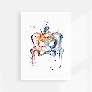Pelvis art | Physical therapy watercolor print | Human anatomy multicolored artwork | Physical therapist office wall art decor | Unframed