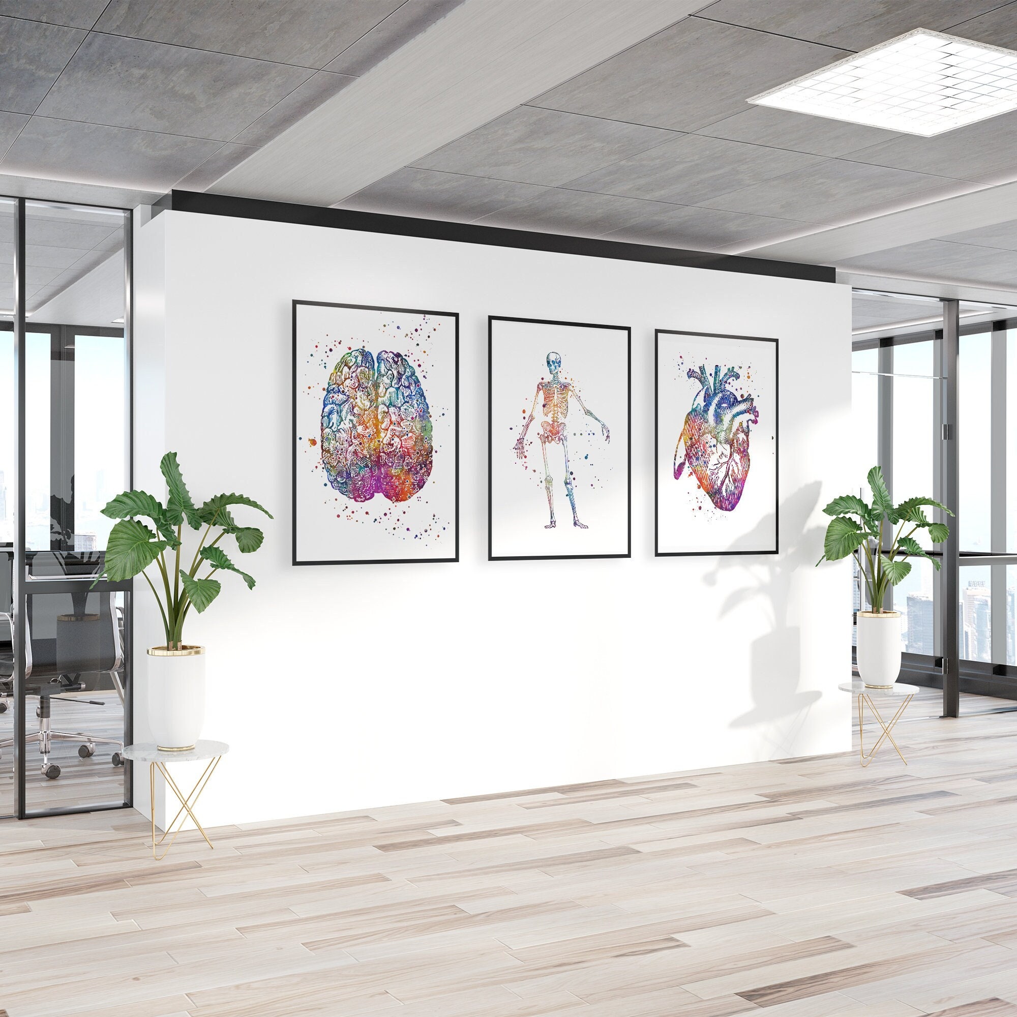Human Anatomy art, Physician office decor, Set of 3 watercolor prints, nurse office decor