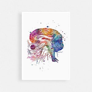 Neuroscience Art, Brain Cranial Nerves Anatomy Art Poster, Neurologist Office Decor