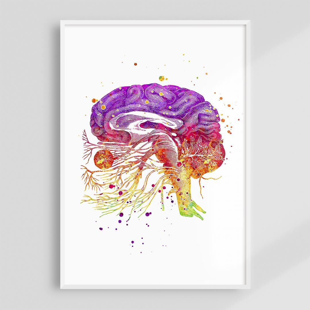 Human Brain Anatomy Art Print, Cranial Nerves Watercolor Poster, Doctor ...