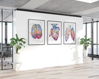 School Nurse office decor, Anatomy art Set of 3 watercolor prints Human Brain Heart and Lungs, Medical Student Gift