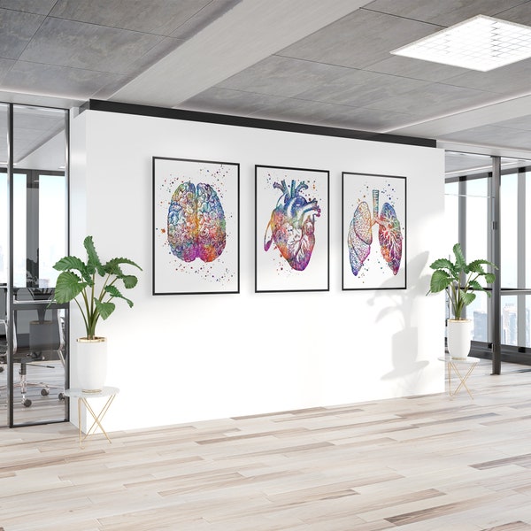 Décor de bureau d’infirmière scolaire, art d’anatomie Ensemble de 3 estampes d’aquarelle Cerveau humain Coeur et poumons, Cadeau d’étudiant en médecine