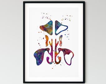Paranasal Sinuses Poster, Watercolour Nasal Anatomy Wall Art, Medical Clinic Décor, ENT Gift