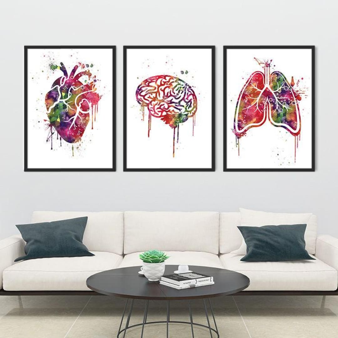 Anatomy Art Set of 3 Heart Brain Lungs Watercolor Prints Medical School ...
