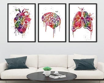 Anatomy Art Set of 3 Heart Brain Lungs Watercolor Prints Medical School Nurse Office Decor, Doctor Gift Medical Art
