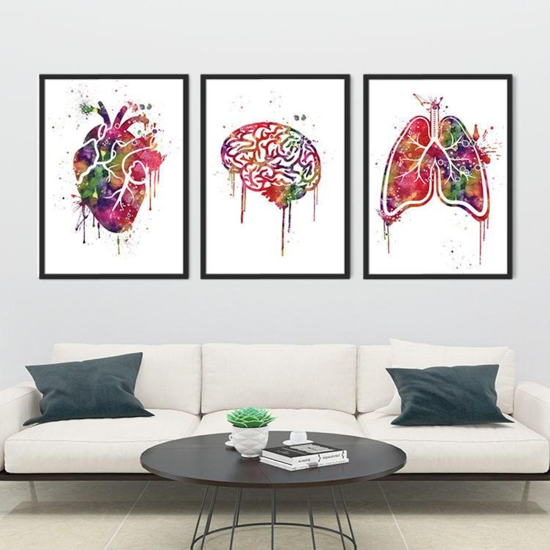 Anatomy Art Set of 3 Heart Brain Lungs Watercolor Prints Medical School ...