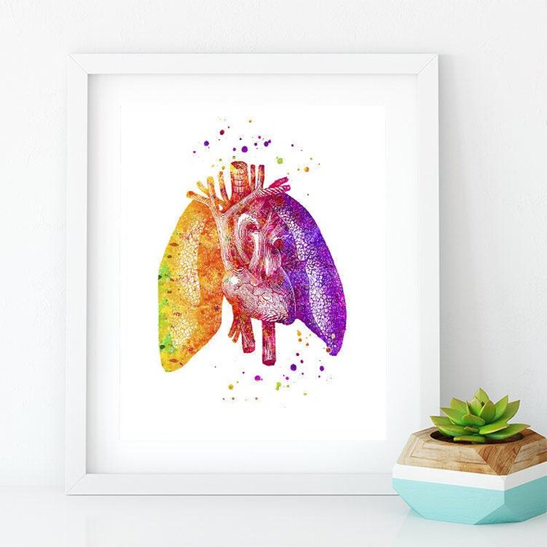 Pulmonary Office Decor, Lungs and Heart Colorful Watercolor Print ...