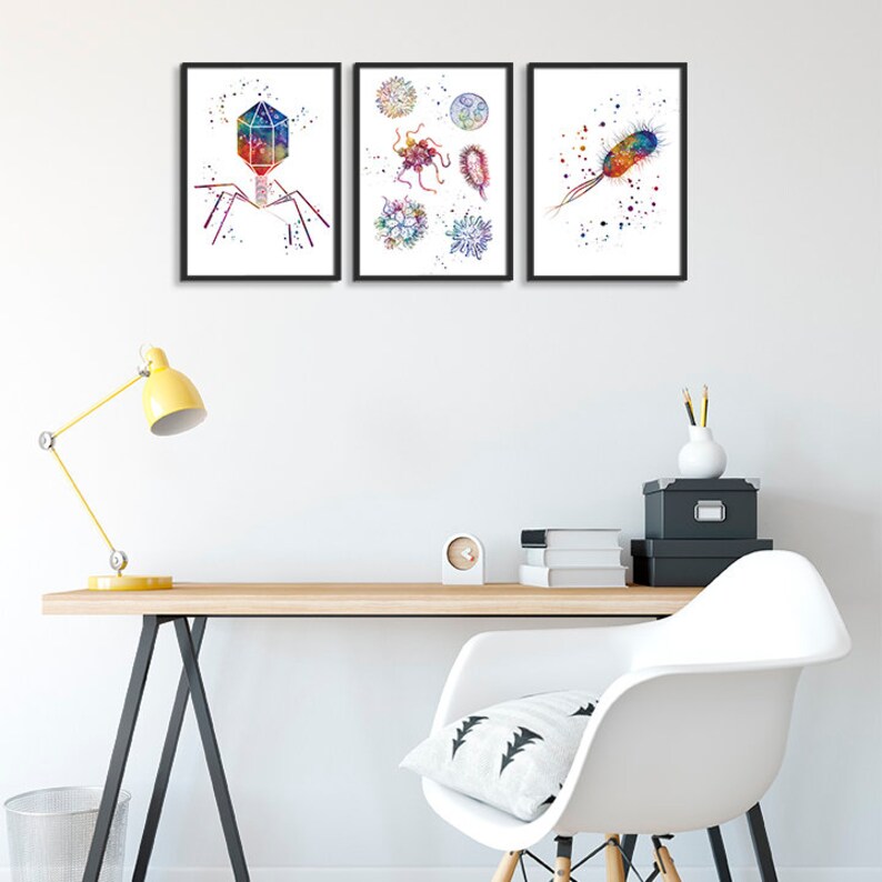 May include: Three framed watercolor illustrations of different types of bacteria. The first illustration shows a bacteriophage with a colorful icosahedral head and tail fibers. The second illustration shows a variety of bacteria, including cocci, bacilli, and spirilla. The third illustration shows a single bacterium with a long, thin shape.