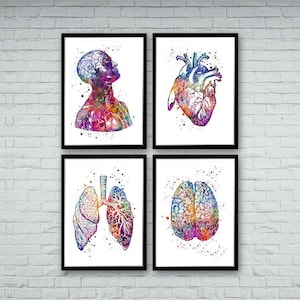 Anatomy Art DEALS Set of Prints Human Heart Brain Lungs Watercolor Wall Art for Doctor Office Decor Medical art