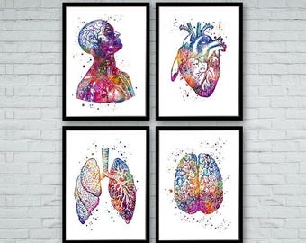 Anatomie Art DEALS Drucksatz Menschliches Herz Gehirn Lunge Aquarell Wandkunst für Arzt Büro Dekor medizinische Kunst