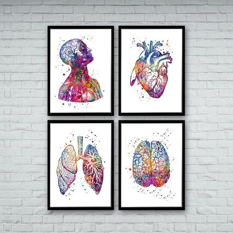 Anatomy Art DEALS Set of Prints Human Heart Brain Lungs Watercolor Wall Art for Doctor Office Decor Medical art image 1