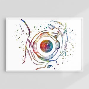 May include: A watercolour illustration of a human eye, depicting its anatomical structure. The artwork uses a vibrant colour palette of reds, yellows, blues, and greens, with detailed lines and a white background.